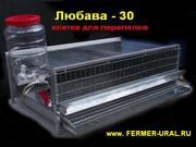 Клетки для перепелов.